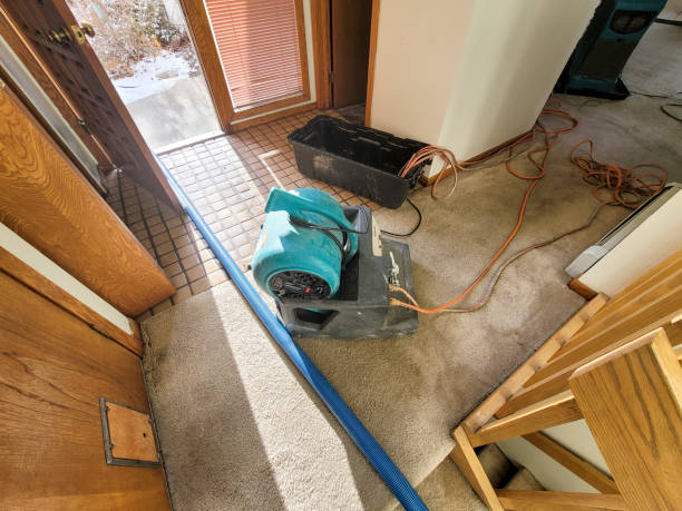 Trusted Water Damage Restoration in Canyon Creek, WA | Fast, Reliable, and Ready to Assist You